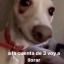 hshq11