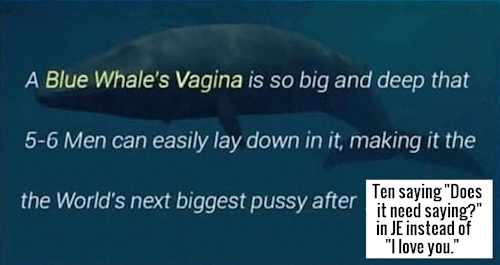 natural–blues: Don’t you fucking @ me for meme-ing the truth (ง'̀-‘́)ง  