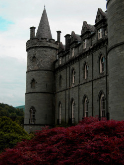 losthorizon-s:  Inveraray Castle, Argyll