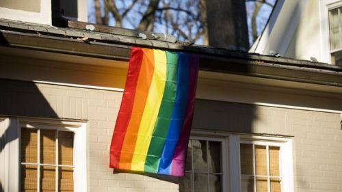 assgod: gaywrites:   On the Washington, D.C. street where Mike Pence will be living before Inauguration Day, his new neighbors have begun displaying rainbow flags in protest.  According to one resident, Ilse Heintzen: “[It’s] a respectful message