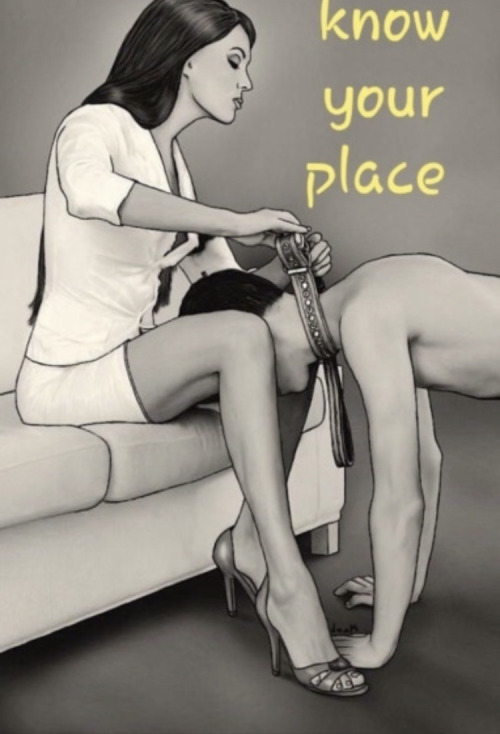 You Should Al Always Know That’s Where You Belong As A Sissy Slut Come And Get Collared By Mistress