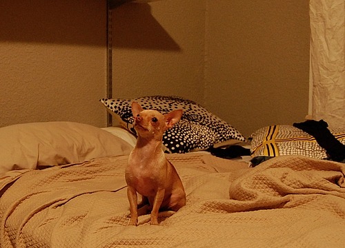 i take way too many pictures of lucas. sorry.