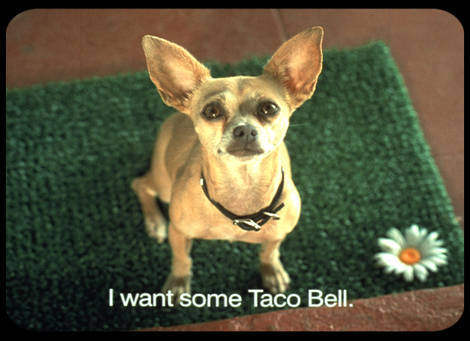 r.i.p gidget <3 lucas