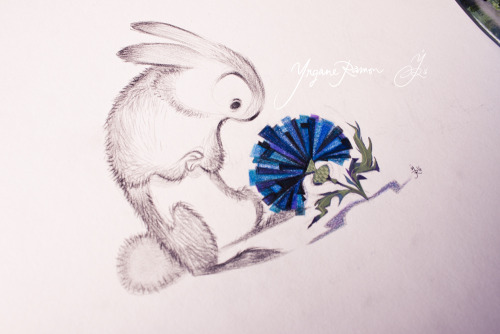 Thistles &amp; Rabbits - Pencils &amp; Gouache  by Yrgane RamonHappy Easter !