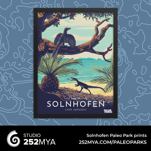 252mya:Solnhofen, the famous limestone from Jurassic Germany, is our next release of the Paleo Parks