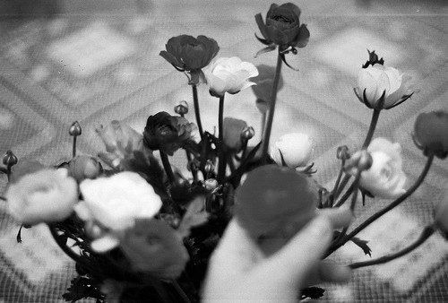 vaginab00b.tumblr.com/post/66380449494/