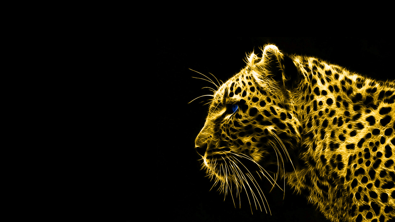 baetology:  black and gold moods