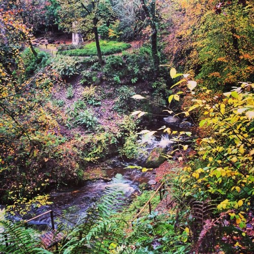 #scotland #landscape on a walk in #Largs