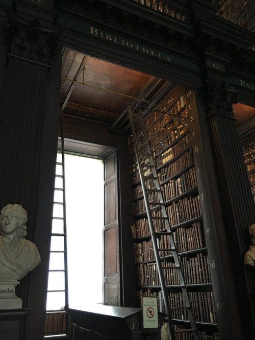 thestandrewknot: Trinity College Library, Dublin (by jenlrile).