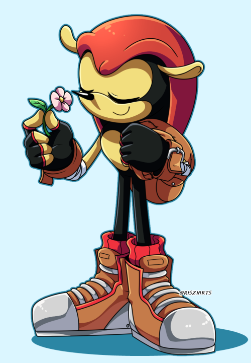 Mighty the Armadillo by R-no71 on deviantART  Sonic heroes, Sonic the  hedgehog, Sonic fan characters