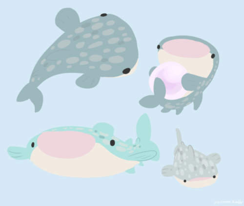 panaran:Apparently it’s international whale shark day and somehow I didn’t know??