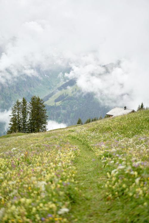 expressions-of-nature: Glarus, Switzerland by Steffen Lemmerzahl