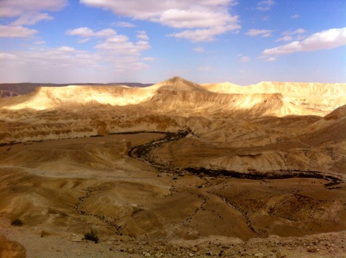 Israel’s Negev