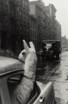 undr:Top 10 2021 2/21. Inge Morath.  Ein Lama am Times Square, USA, New York City,