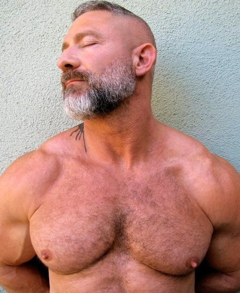 DILF NIPPLES&hellip; hairy-chests:  @hairychestsxÂ Â Â Â Â SubmitÂ 