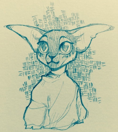 Baby Khajiit??? Or Goblin???