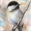 chickadee634