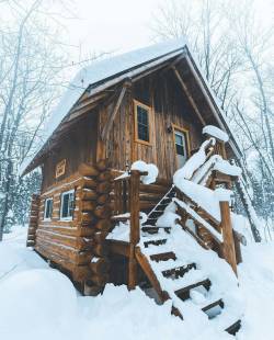 thecabinchronicles:  Let’s go to the woods and make it our home.   Photo: @darrin_stevens, Algonquin Provincial Park, Ontario, CA. #thecabinchronicles