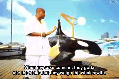 tumblr_n2czf1ERYD1s9x79go1_500.gif