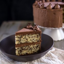 dessertgallery:Chocolats Sprinkles Cake-Get