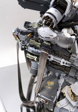 rhubarbes:  MG 1/100 MSN-04 Snow Sazabi -