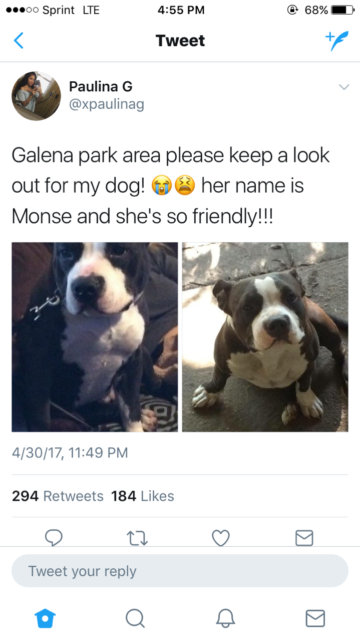 sam1here:  HELP MY FRIEND GET HER DOG BACKMy friend, Paulina, lost her dog this year