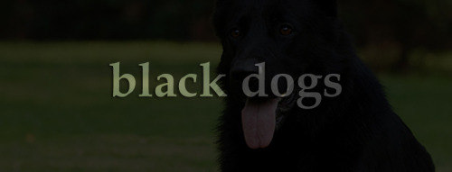“So, Pop Quiz, Mr Parrish. Three Things That Appear In The Vicinity Of Ley Lines?” “Black Dogs,”