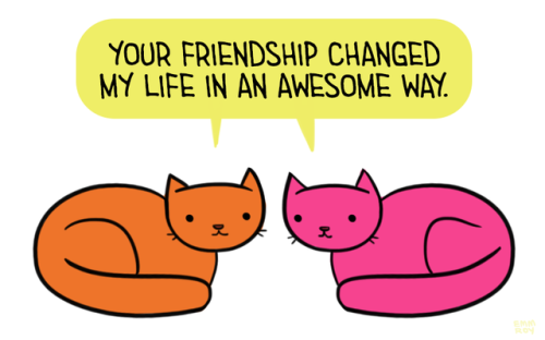 positivedoodles: [Drawing of an orange cat and a pink cat both saying “Your friendship changed my life in an awesome way.” in the same yellow speech bubble.]