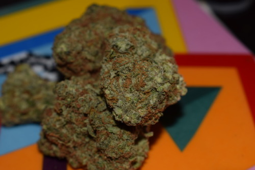 doritosandkilos710:  Picked up some white rhino, really dense and really smelly nugs. Can’t wait to roll it up into a joint and smoke it. (also, I think I should get a better macro lens)  My fav!
