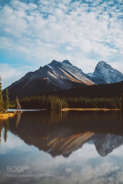 superbnature:  Alberta Adventures by KdKuiper 