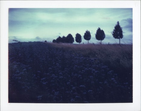 lalouveencage.tumblr.com/post/62418132349/