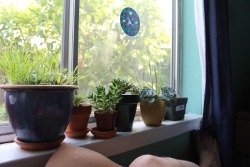 plantyr:  I don’t mind spending time alone, as long as it’s in my room