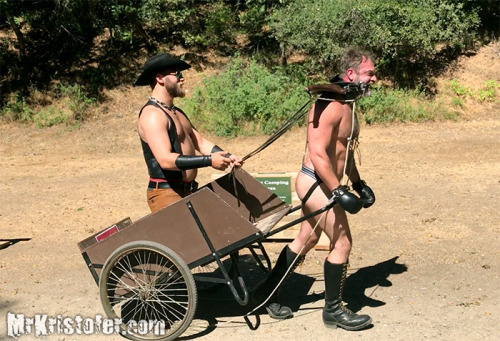 Lifestyles of the Fun and Kinky