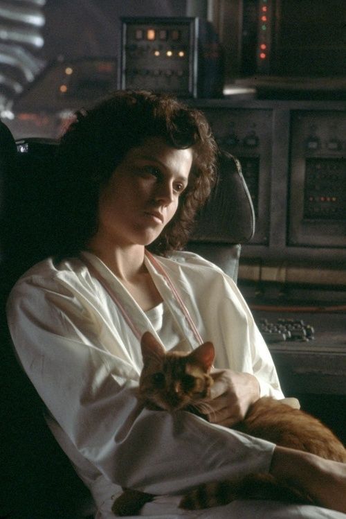 milleniumcondor:Sigourney Weaver & Jonesy the cat - Alien (1979)