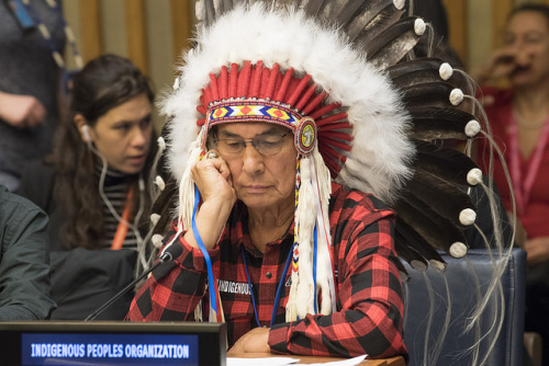 scripturient-manipulator: united-nations: The Permanent Forum on Indigenous Issues is now taking pla