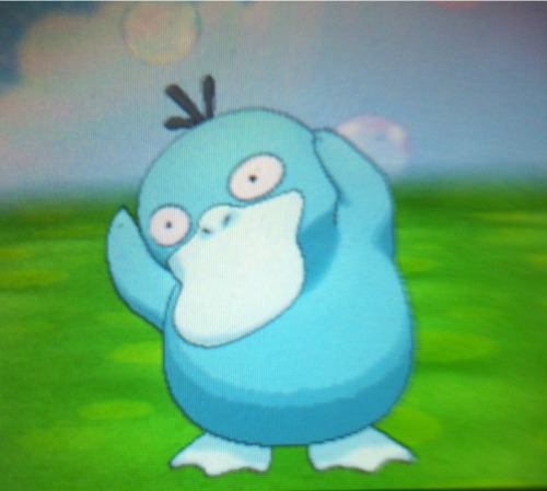 My first Y shiny, meet Platina~