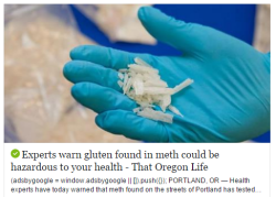 asgardreid:  gotitforcheap:  *gentrification voice* uh is this meth organic?    “Is crystal meth vegan?”