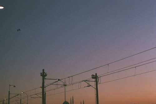 buttorfleogee:  “Lost in places i thought was home”
