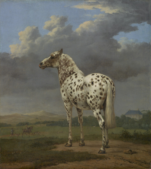 Paulus Potter, The Piebald Horse, 1650-54. Oil on canvas. Netherlands. Via Getty Open Content