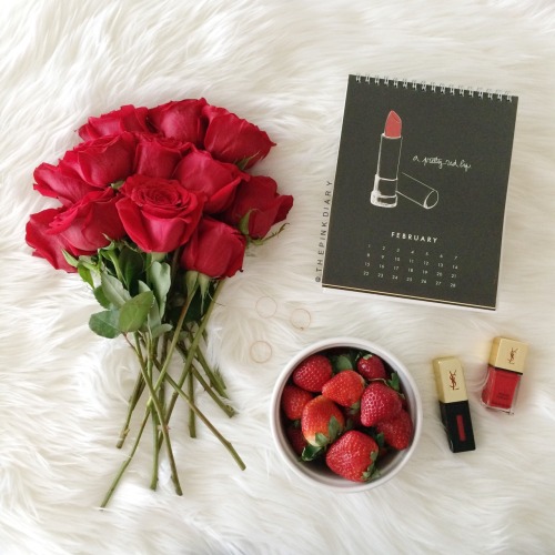 lovetpd:  hello february