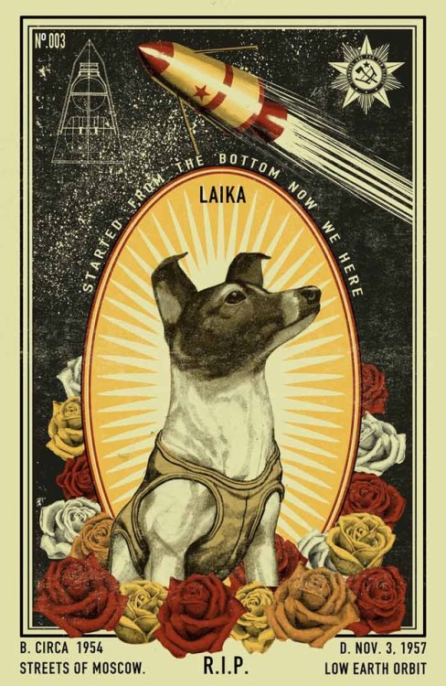 bethanyactually:  egglybagelface96: enrique262:  Laika, the first space pioneer Laika, la primera pionera espacial In Memoriam     “After placing Laika in the container and before closing the hatch, we kissed her nose and wished her bon voyage, knowing