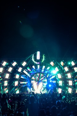 rave-world:  Hardwell ~ Ultra Music Festival