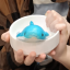 tekioshark