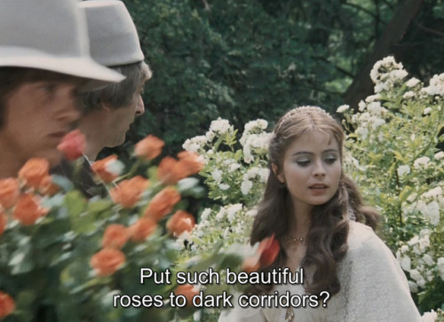 valerieandherweekofwonderz: Soľ nad zlato / The Salt Prince (1982), dir. by Martin Hollý Jr.