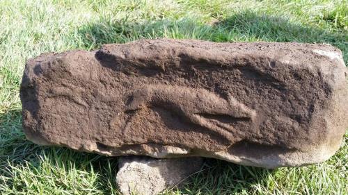 Hare and hound carving found this week at Vindolanda