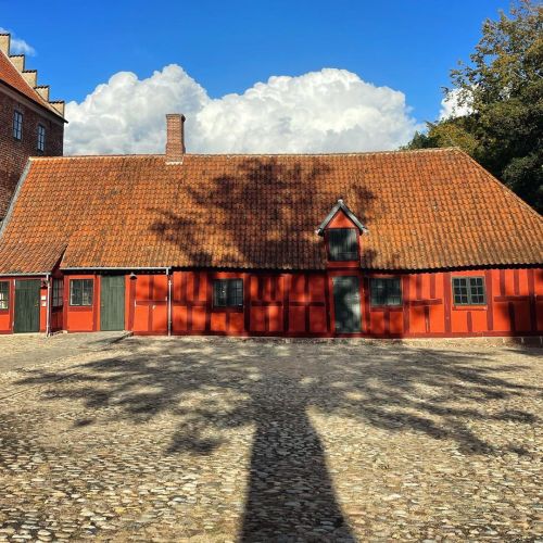 A tree shadow on an old building in Odense, Denmark Sept 28, 2021 #odense #denmark #denmark #oldbuil