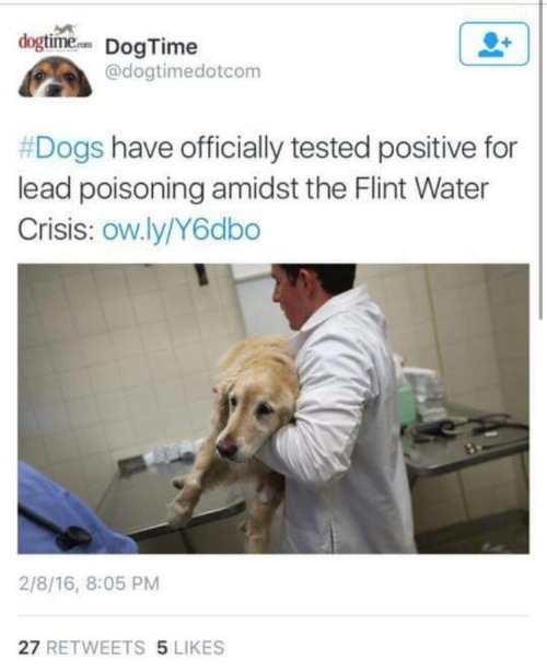 marcel-wolfgang:  corbeezyyy:  youngsourpatch:  themanicpixiedreamgrrrl:  sonoanthony:  😔  now white people will care   Right!!!!!!  ^^^^^^^^^  White people actually going to try to help now wowwwww smh