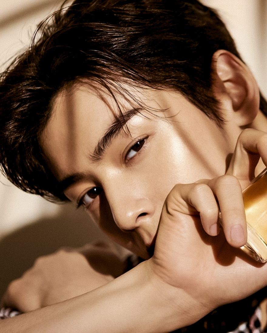 KPOP WORLD INA on X: ASTRO Cha Eunwoo with Dior Beauty for VOGUE