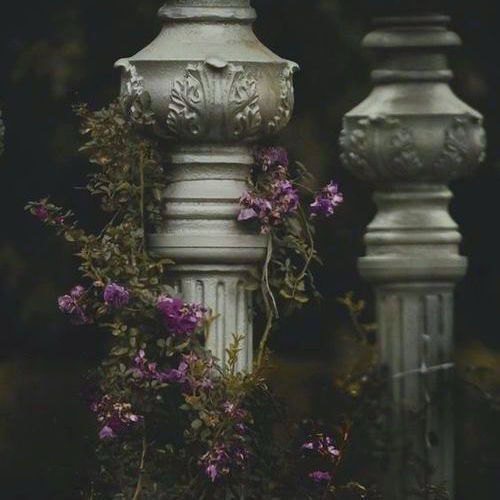 i-live-for–the-aesthetic:  witchy moodboards : green witch + fairy tale atmosphere requested b