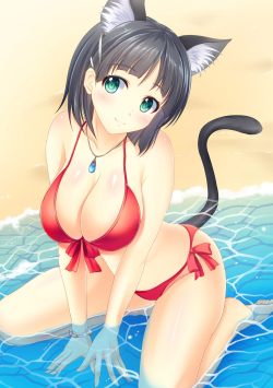 sasukemaru:  【巨乳コラム】知ってるか?女の80％は猫風エロ下着を好きな上に、所持している事を!! 巨乳エロニカ エロ画像動画